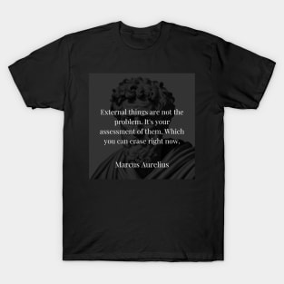 Marcus Aurelius's Liberation: The Power of Perception Over External Challenges T-Shirt